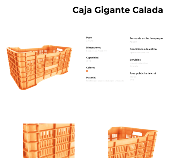 02 05 2023 01 09 57 968 VEU0076A.png