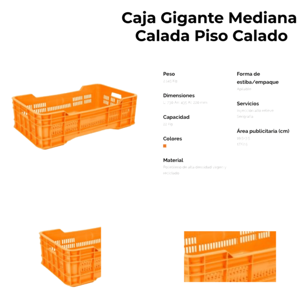 02 05 2023 01 10 03 014 VEU0077B.png