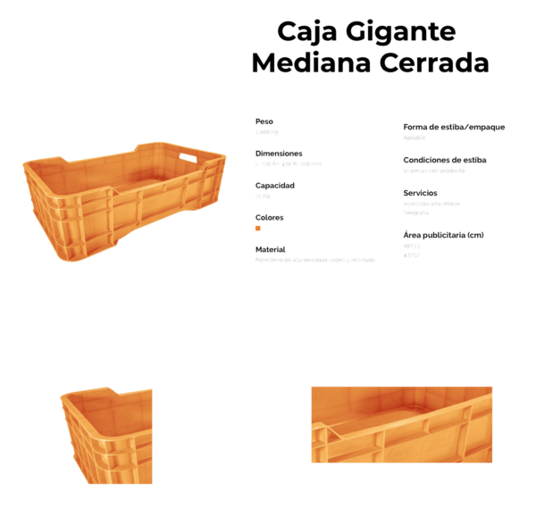 02 05 2023 01 10 04 166 VEU0077C.png