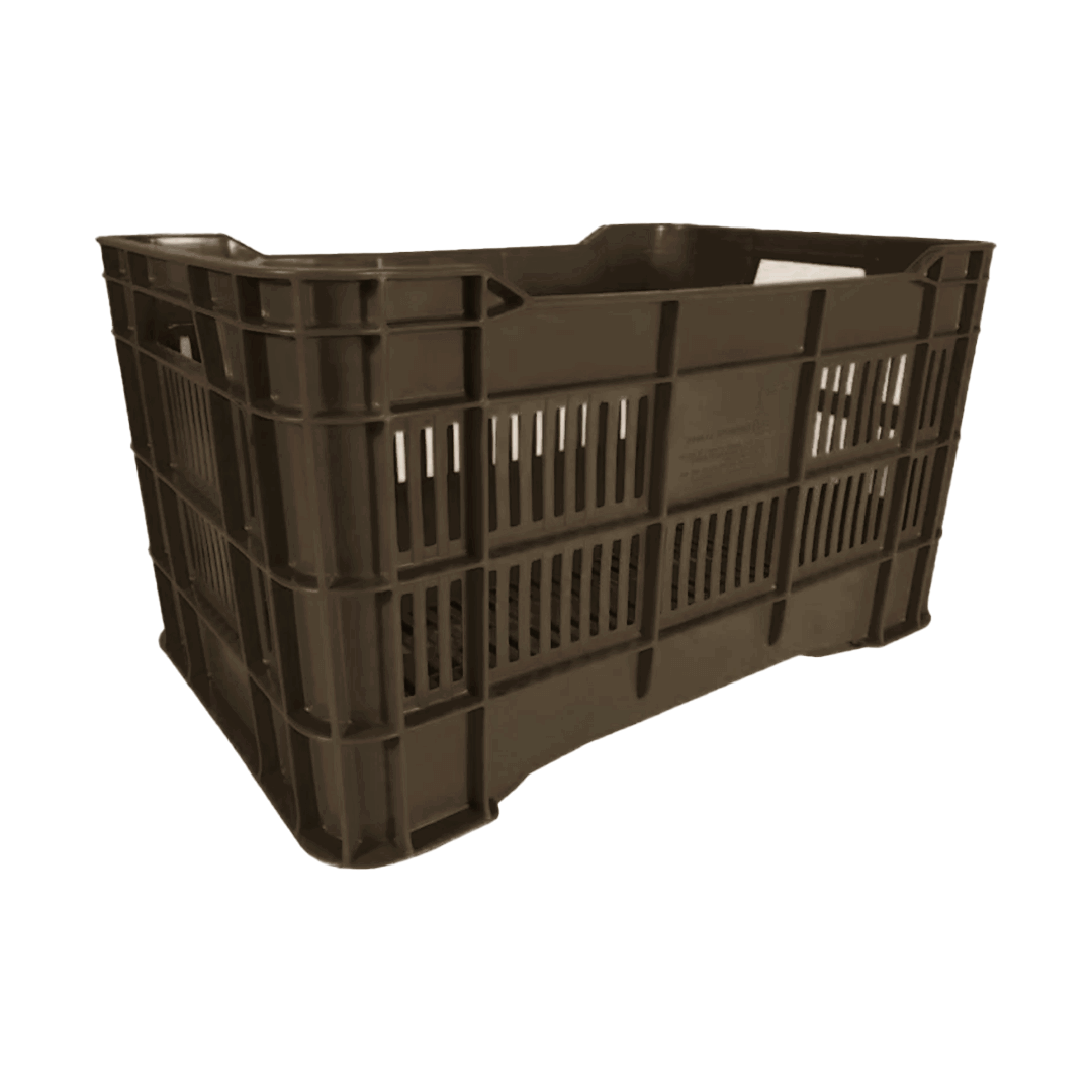 10 04 2024 06 16 00 559 VEU0088.009.png