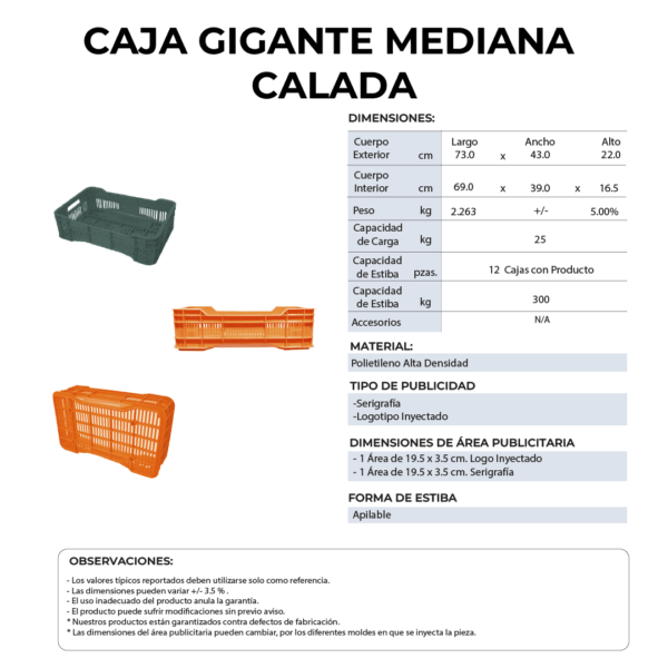 27 06 2024 04 54 16 182 VEU0077.012.png